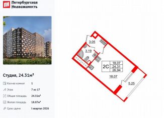 Квартира на продажу студия, 24.3 м2, Санкт-Петербург, метро Улица Дыбенко