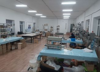 Сдается в аренду помещение свободного назначения, 820 м2, Благовещенск, улица Старикова, 182/7