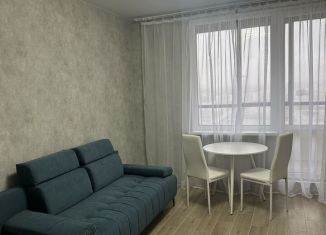 Сдам квартиру студию, 24 м2, Санкт-Петербург, Окуловская улица, 18