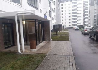 Сдается 1-ком. квартира, 34 м2, Челябинск, улица Дмитрия Неаполитанова, 16