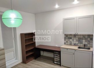 Продам квартиру студию, 25.2 м2, Кудрово, Пражская улица, 9