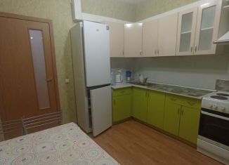 Сдаю в аренду 1-ком. квартиру, 45 м2, Мурино, ЖК Тридевяткино Царство, улица Шоссе в Лаврики, 74к2