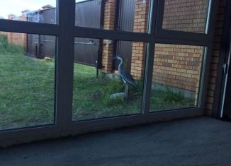 Продаю дом, 50 м2, деревня Пычанки, Моховая улица, 33