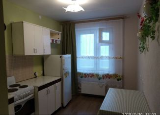 Аренда однокомнатной квартиры, 37 м2, Екатеринбург, Ухтомская улица, 47, Ухтомская улица
