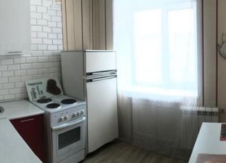 Сдается 1-комнатная квартира, 31 м2, Новосибирск, улица Станиславского, 4/1, метро Площадь Маркса