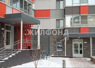 Продается квартира студия, 55.4 м2, Новосибирск, ЖК Оазис, улица Лескова, 27