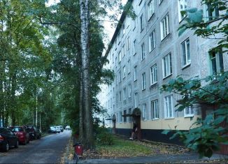 Продам двухкомнатную квартиру, 46 м2, Санкт-Петербург, Народная улица, метро Улица Дыбенко