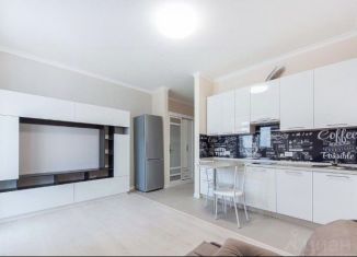 Квартира в аренду студия, 25 м2, деревня Раздоры, улица Липовой Рощи, 4к2