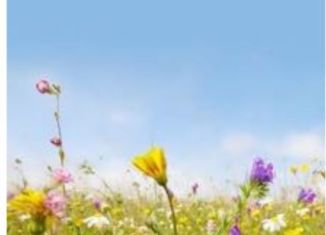 Продаю участок, 8 сот., Назрань, Западная улица, 2