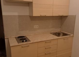 Сдача в аренду квартиры студии, 20 м2, посёлок Ильинское-Усово, жилой комплекс Ильинские Луга, 5, ЖК Ильинские Луга