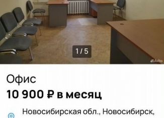 Сдается офис, 18.9 м2, Новосибирск, Комбинатская улица, 1