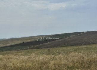 Продажа земельного участка, 399 сот., поселок городского типа Зуя