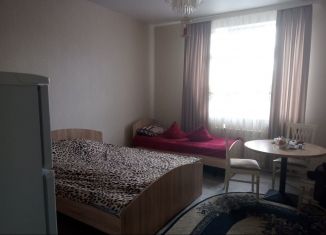 Квартира в аренду студия, 35 м2, деревня Дудкино, 4-я улица, 241