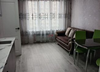 Аренда 1-комнатной квартиры, 45 м2, Абакан, улица Генерала Тихонова, 6