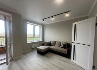 Продажа квартиры студии, 25.7 м2, Ростов-на-Дону, переулок Чаленко, 11, ЖК Западная Резиденция