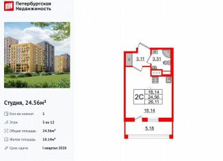 Продаю квартиру студию, 24.6 м2, Санкт-Петербург, Приморский район