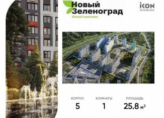 1-комнатная квартира на продажу, 25.8 м2, деревня Рузино