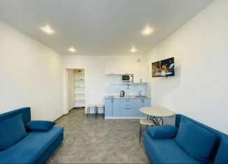 Продажа квартиры студии, 25 м2, Анапа, улица Толстого, 130к2, ЖК Огни Анапы