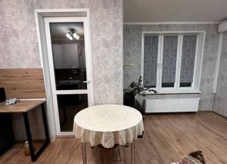 Сдается в аренду 1-ком. квартира, 33 м2, Уфа, улица Кирова, 130