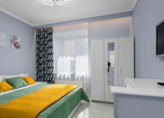 Квартира в аренду студия, 24 м2, Кудрово, Областная улица, 9к2