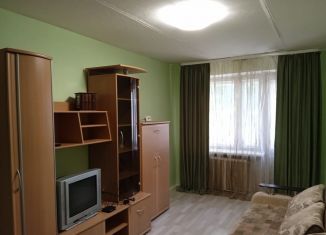 Продается 1-ком. квартира, 29.9 м2, Орёл, улица Спивака, 16