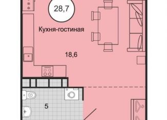 Продаю квартиру студию, 28.7 м2, Ставропольский край, переулок Ландышей, 4