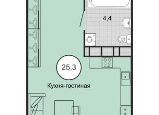 Продается квартира студия, 26.3 м2, Ставропольский край, переулок Ландышей, 4