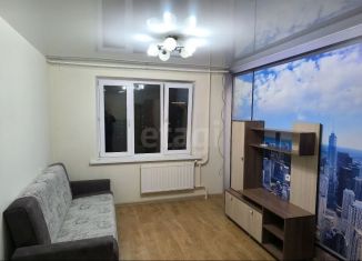 Сдам в аренду квартиру студию, 25 м2, Киров, Заводская улица, 4