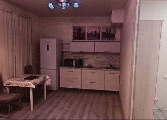 Сдается в аренду квартира студия, 40 м2, Абакан, улица Авиаторов, 2