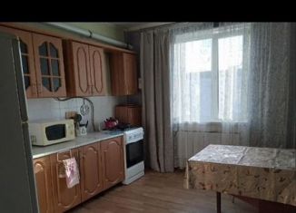 Аренда 1-ком. квартиры, 33 м2, Пенза, улица Долгорукова, 92