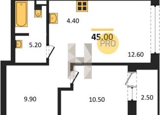 Продается 1-ком. квартира, 45 м2, Новосибирск, Центральный район