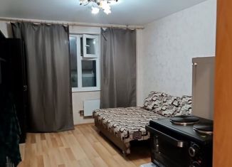 Сдам в аренду квартиру студию, 25 м2, Новосибирск, улица Виктора Уса, 13