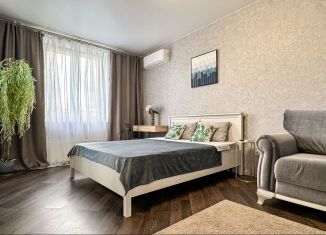 Аренда однокомнатной квартиры, 45 м2, Краснодарский край, улица Куникова, 1