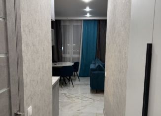 Аренда 2-комнатной квартиры, 40 м2, Москва, улица Лётчика Осканова, 6, САО