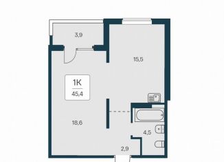 Продается 1-комнатная квартира, 45.4 м2, Новосибирск, Игарская улица, 6