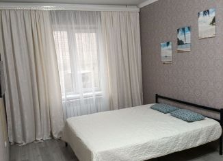 Аренда 1-ком. квартиры, 38 м2, село Шалушка, Школьная улица, 1